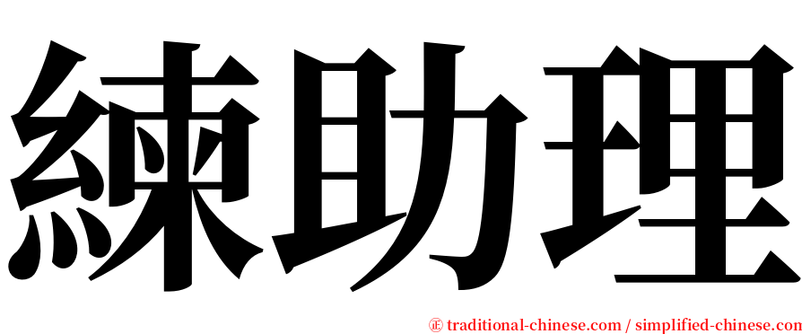 練助理 serif font
