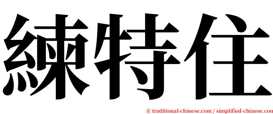 練特住 serif font