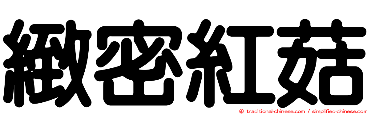 緻密紅菇