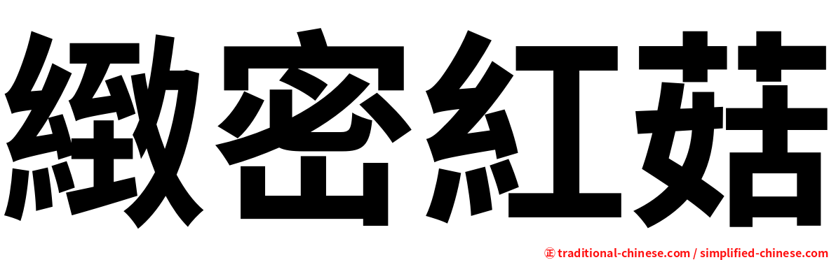 緻密紅菇