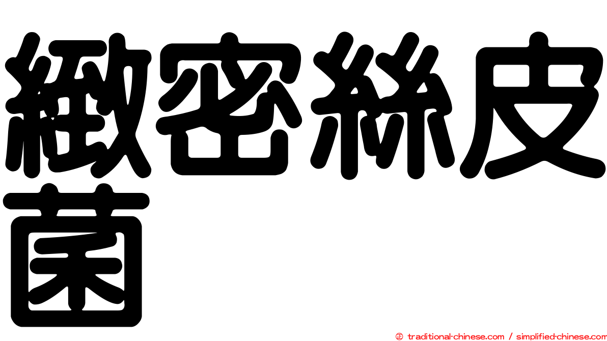 緻密絲皮菌
