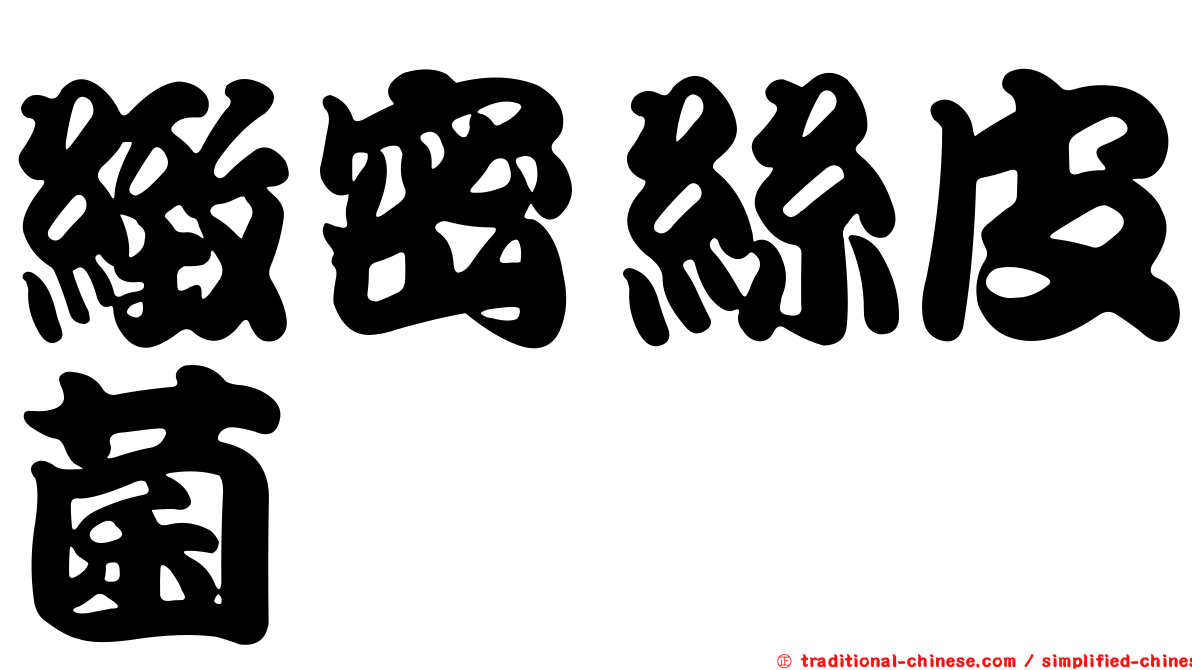 緻密絲皮菌