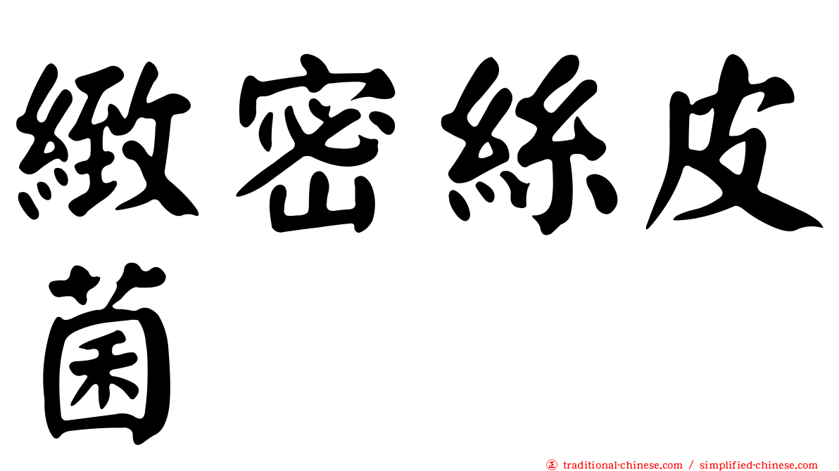 緻密絲皮菌