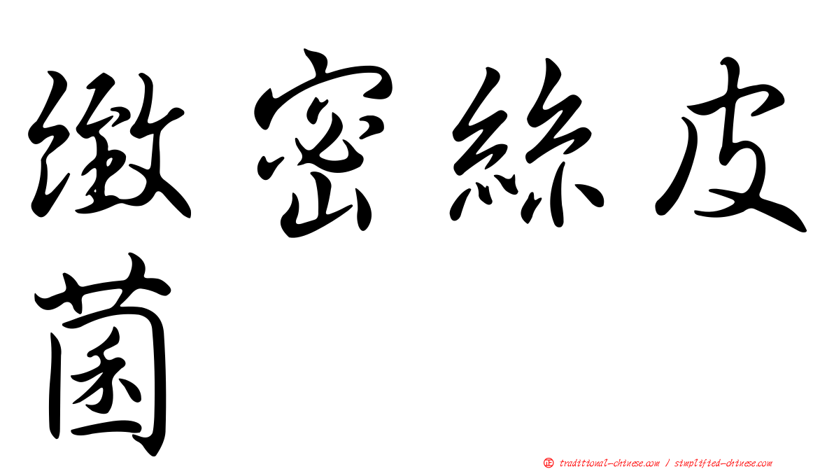 緻密絲皮菌