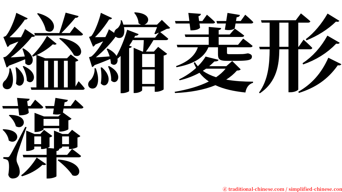 縊縮菱形藻 serif font