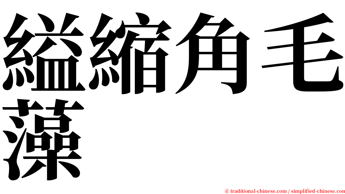 縊縮角毛藻 serif font
