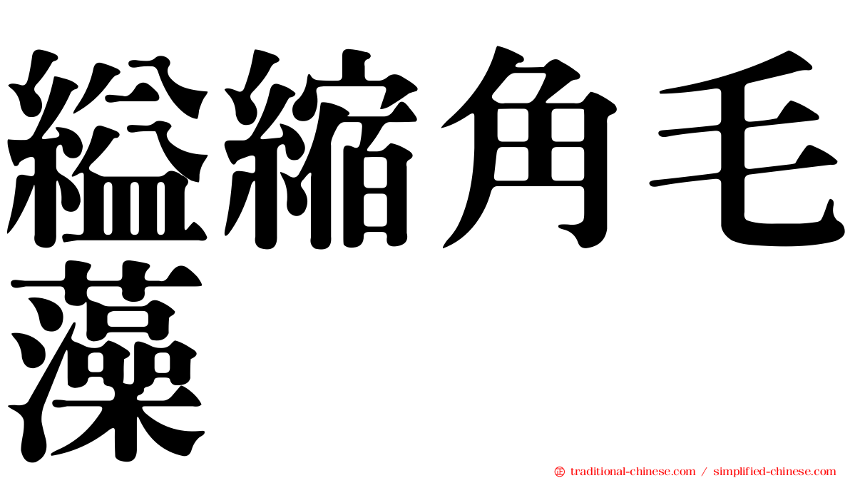 縊縮角毛藻
