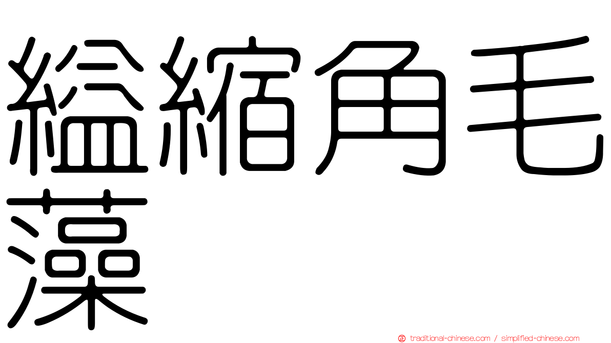 縊縮角毛藻