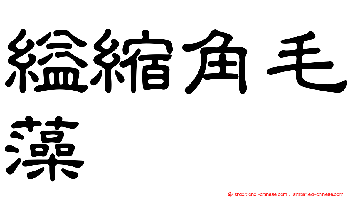 縊縮角毛藻