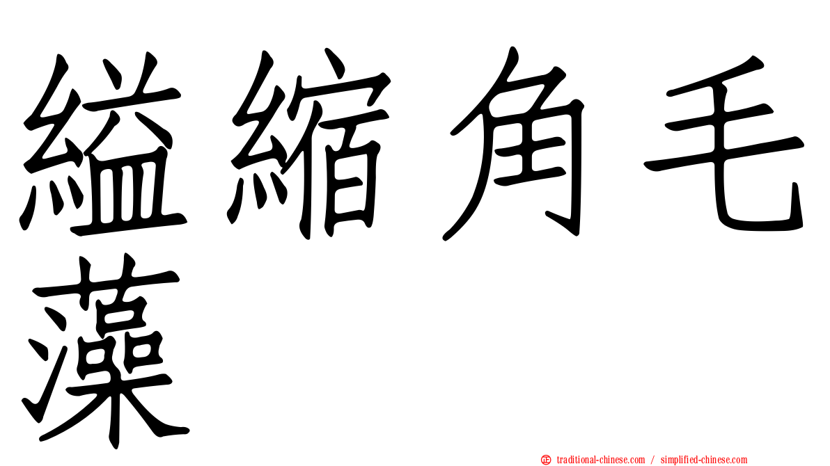 縊縮角毛藻