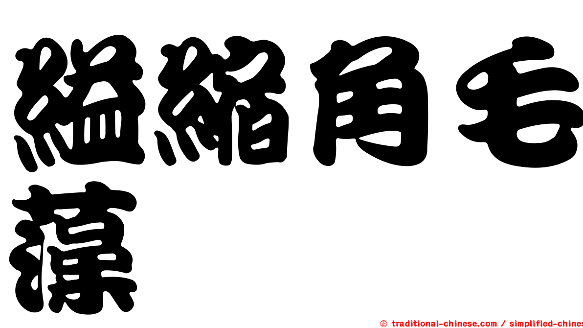 縊縮角毛藻