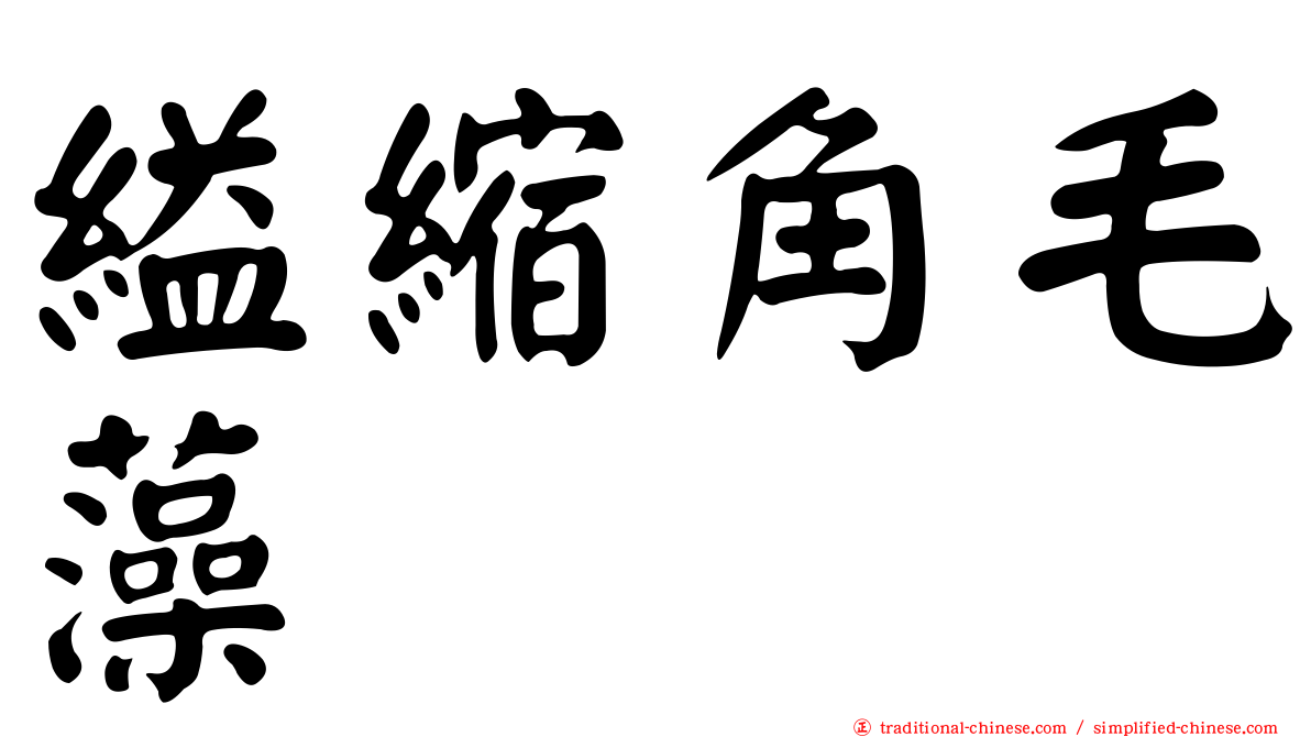 縊縮角毛藻