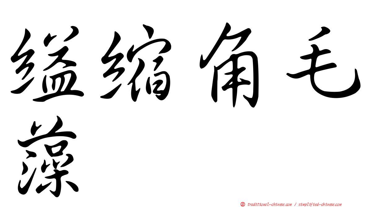 縊縮角毛藻