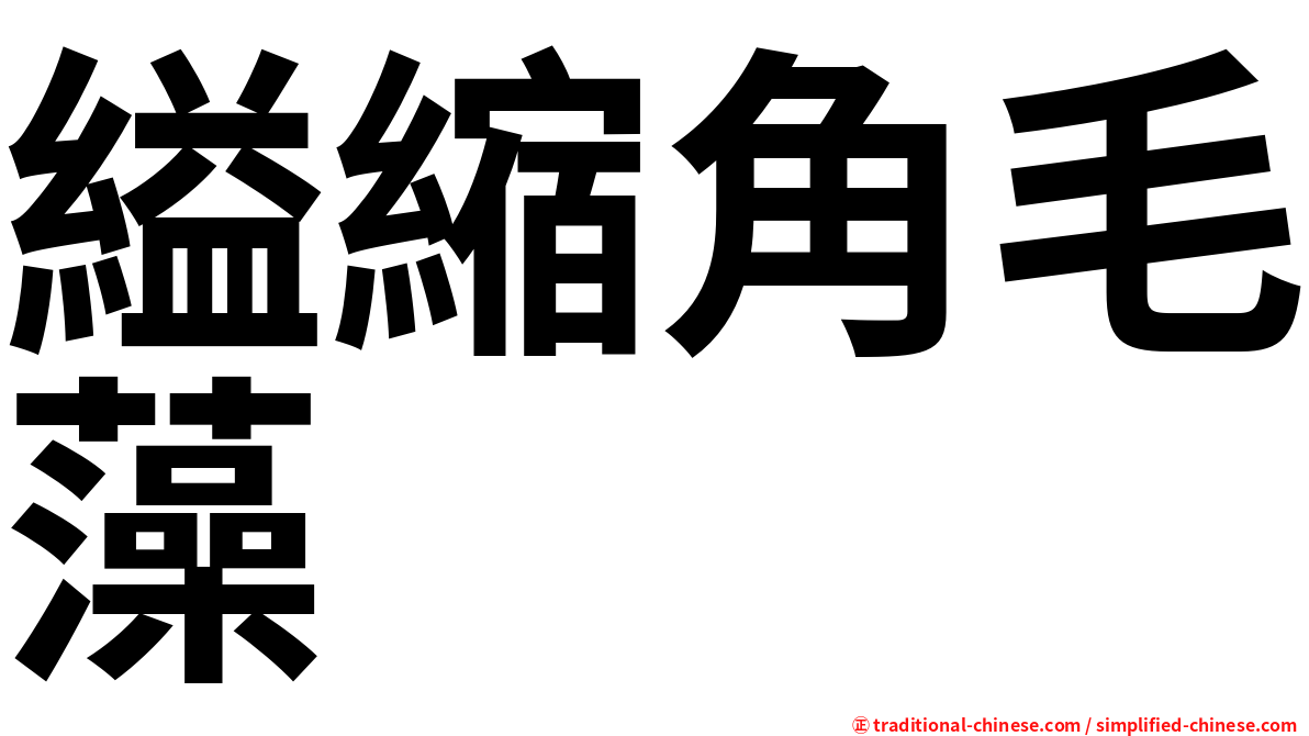 縊縮角毛藻