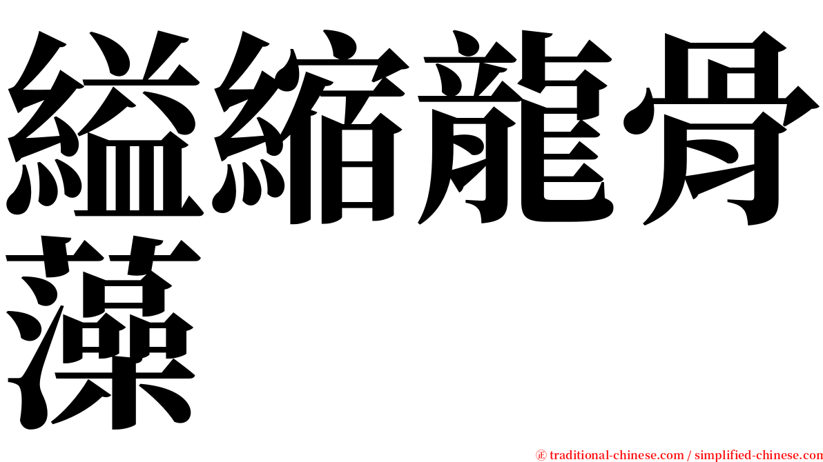 縊縮龍骨藻 serif font