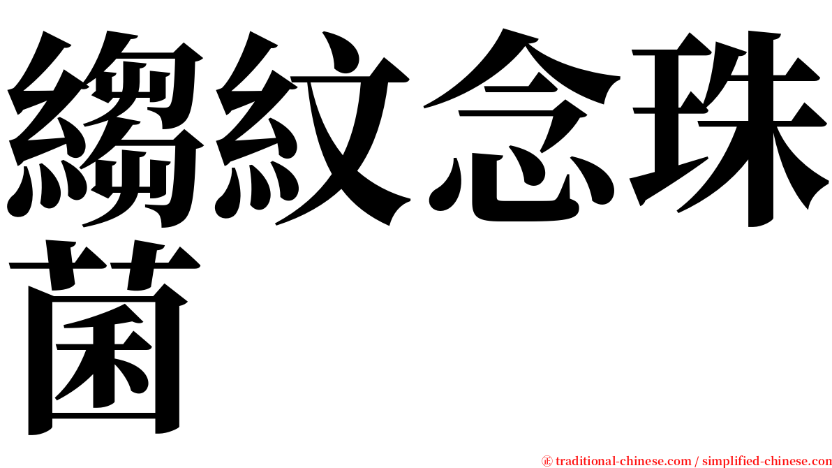 縐紋念珠菌 serif font