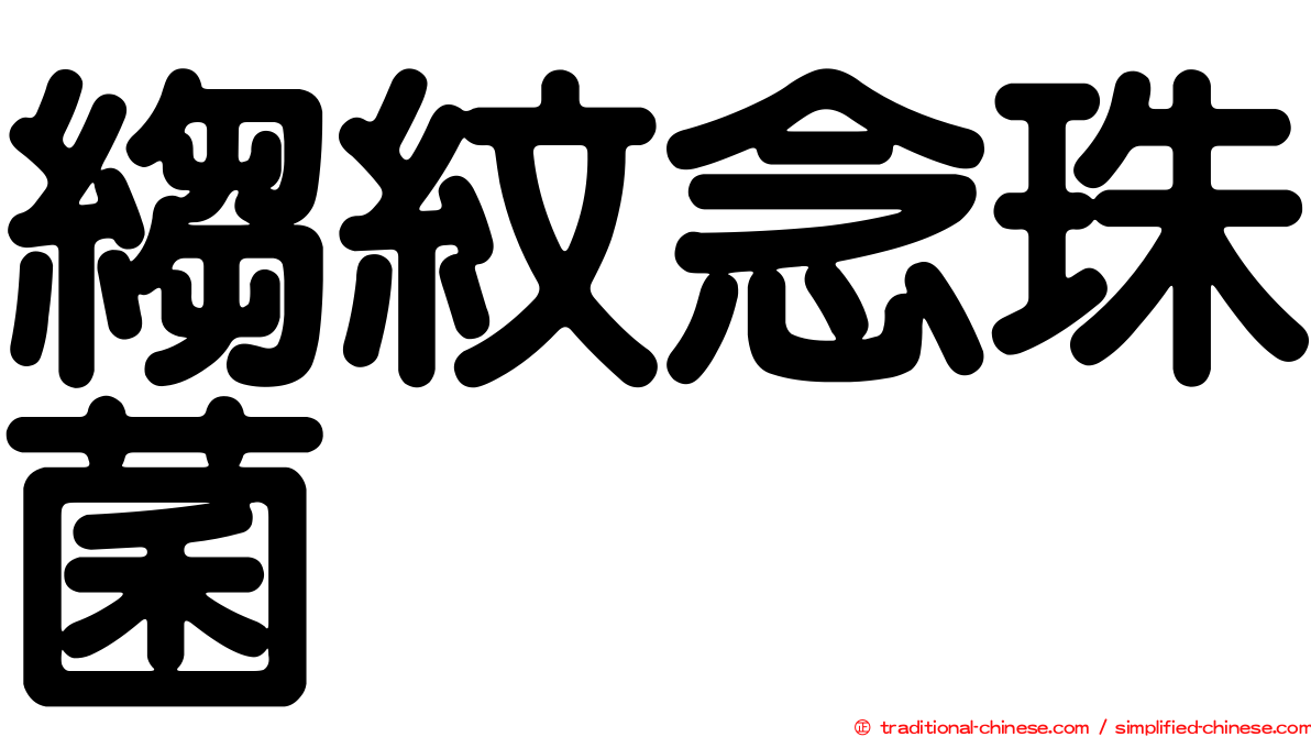 縐紋念珠菌