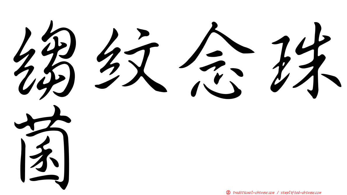 縐紋念珠菌