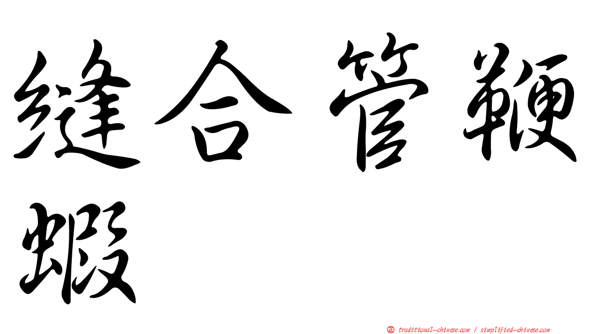 縫合管鞭蝦