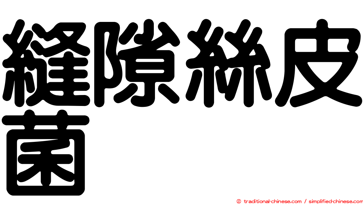 縫隙絲皮菌