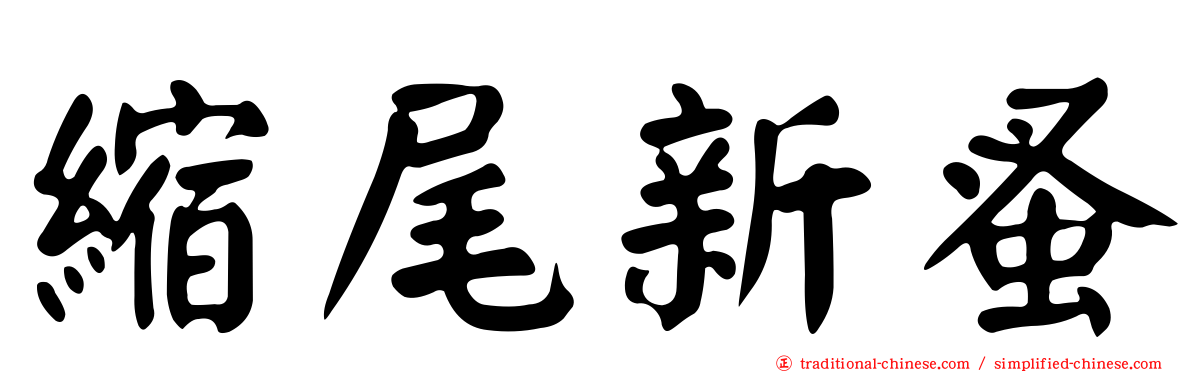 縮尾新蚤