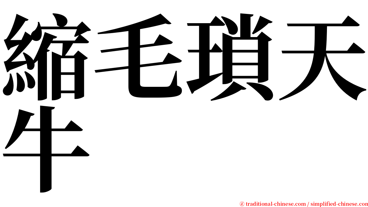 縮毛瑣天牛 serif font