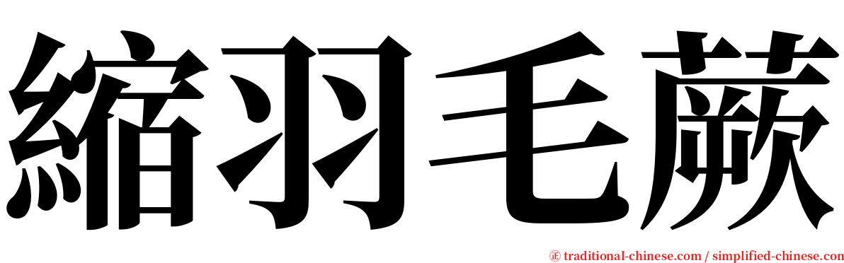 縮羽毛蕨 serif font