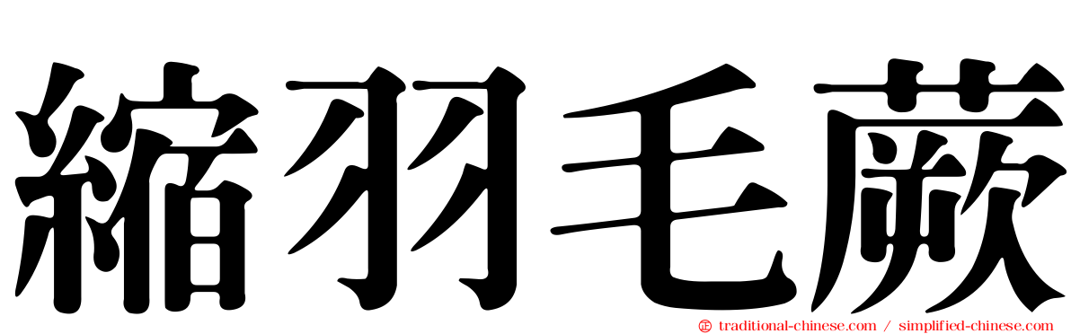 縮羽毛蕨