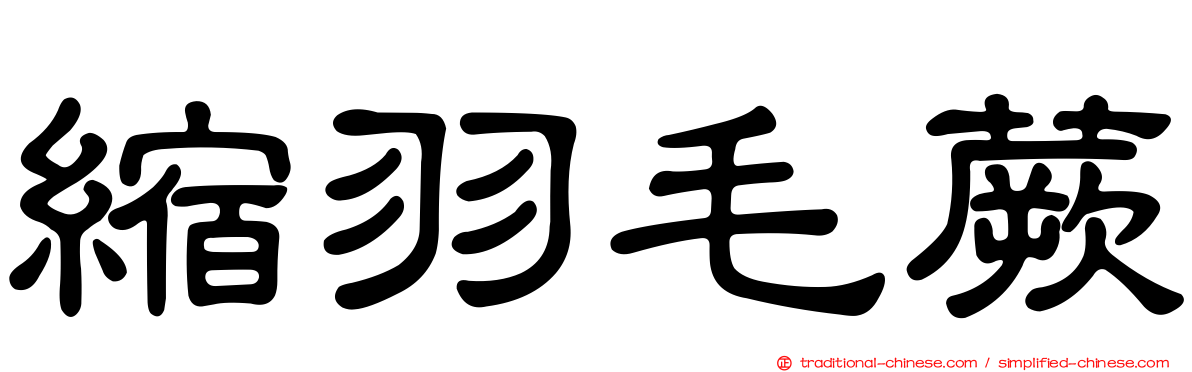 縮羽毛蕨