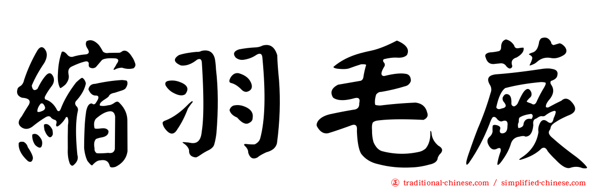 縮羽毛蕨