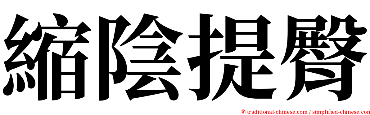 縮陰提臀 serif font