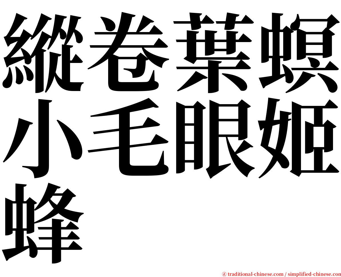 縱卷葉螟小毛眼姬蜂 serif font