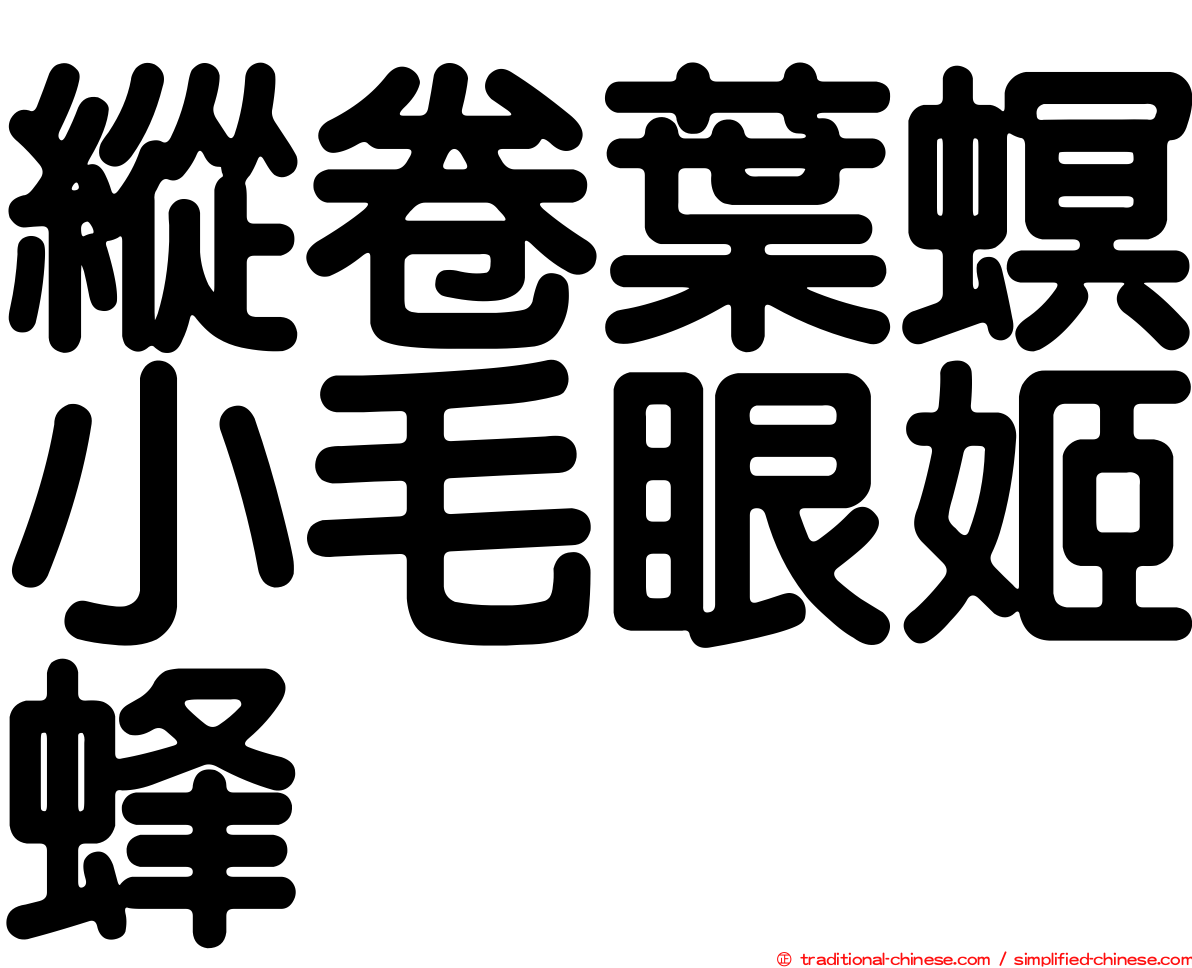縱卷葉螟小毛眼姬蜂