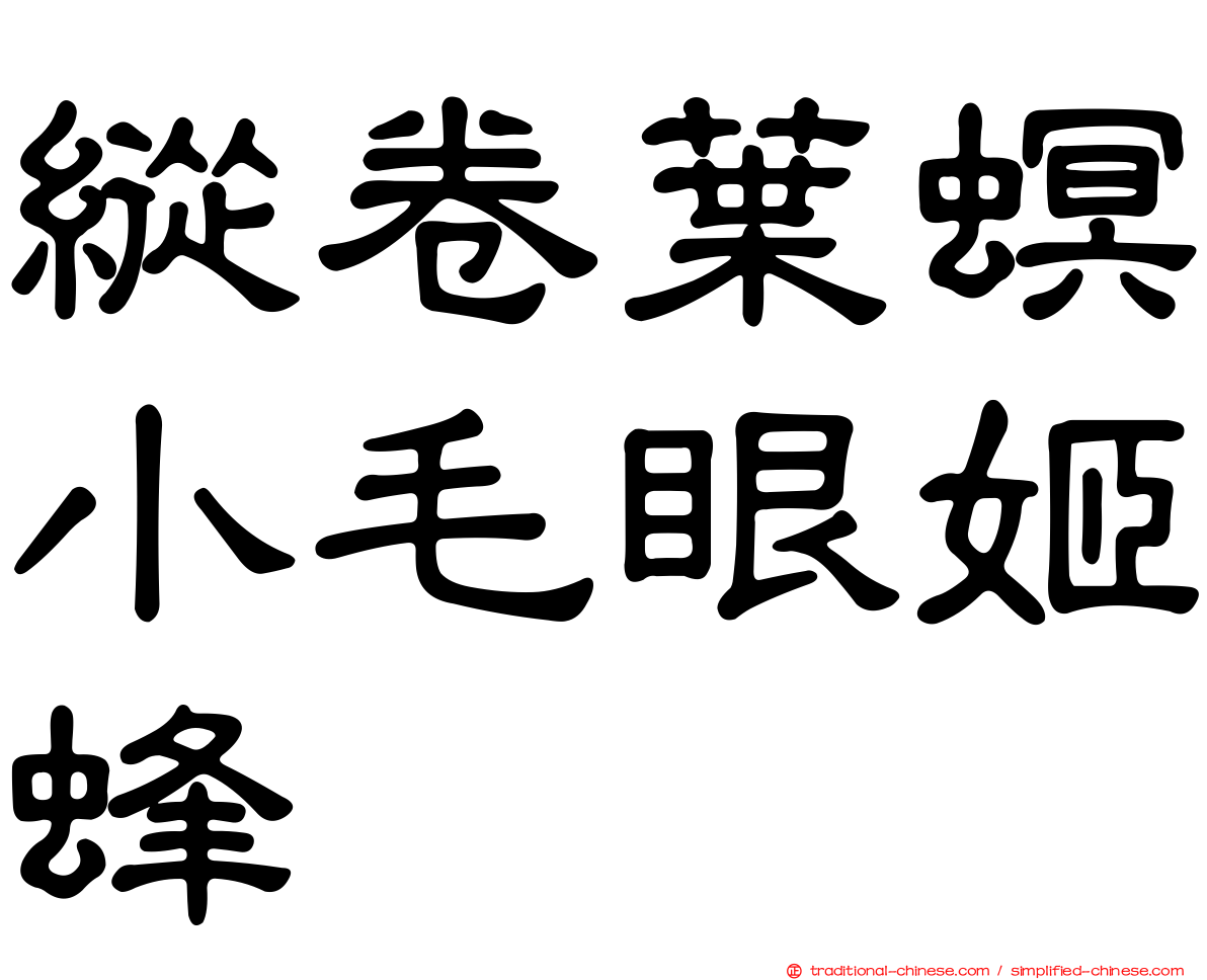 縱卷葉螟小毛眼姬蜂