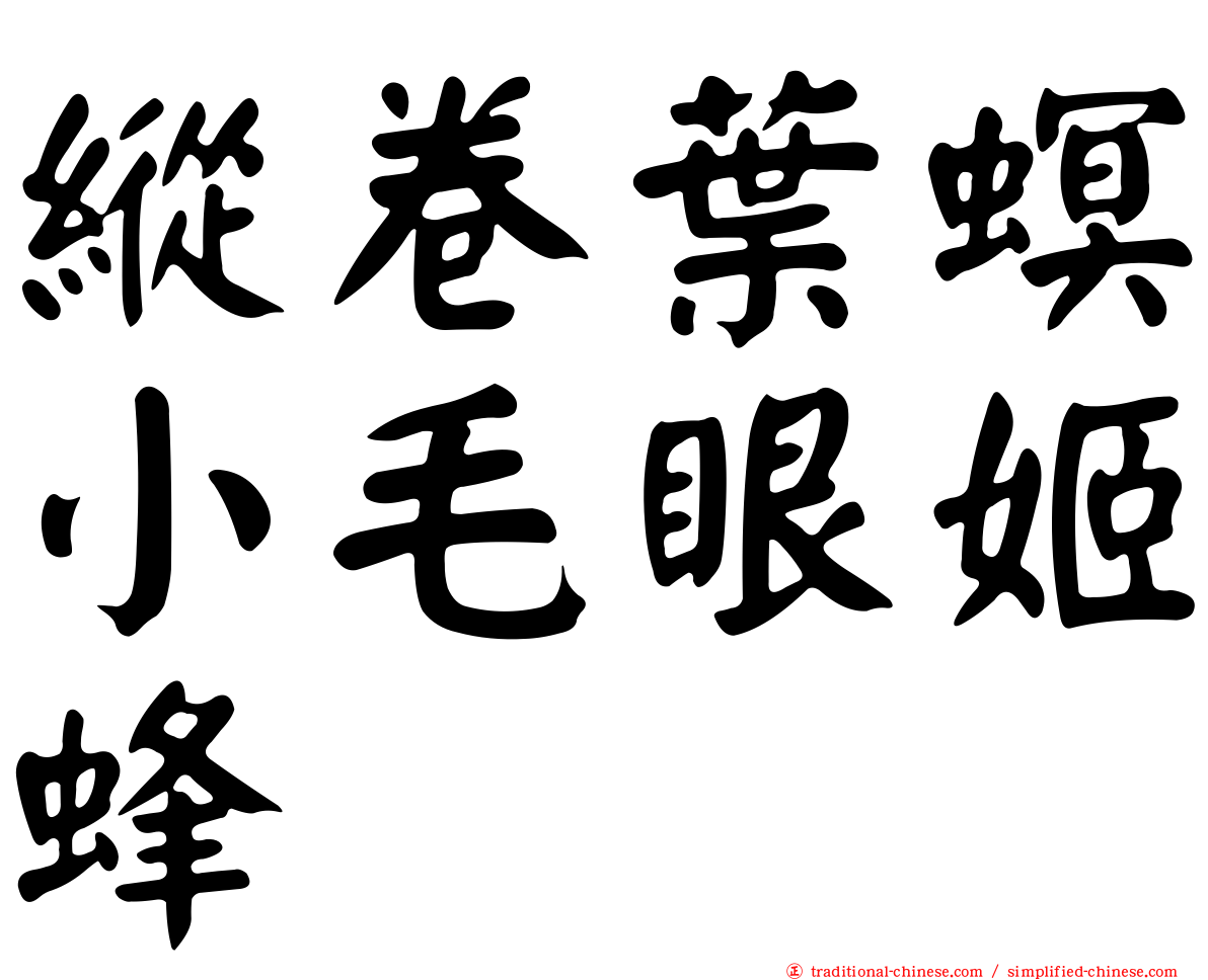 縱卷葉螟小毛眼姬蜂