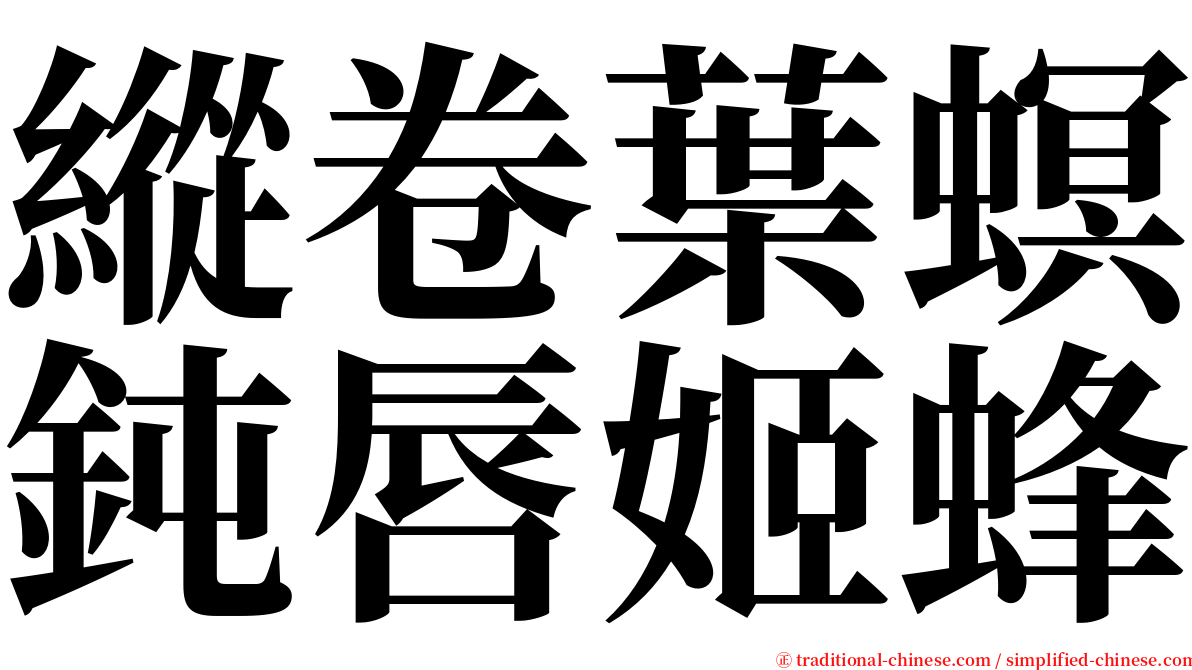 縱卷葉螟鈍唇姬蜂 serif font