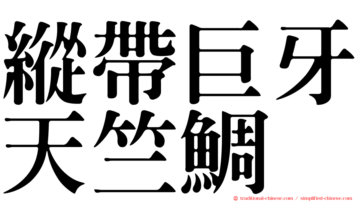 縱帶巨牙天竺鯛