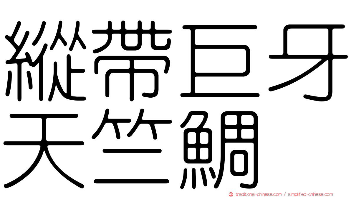 縱帶巨牙天竺鯛