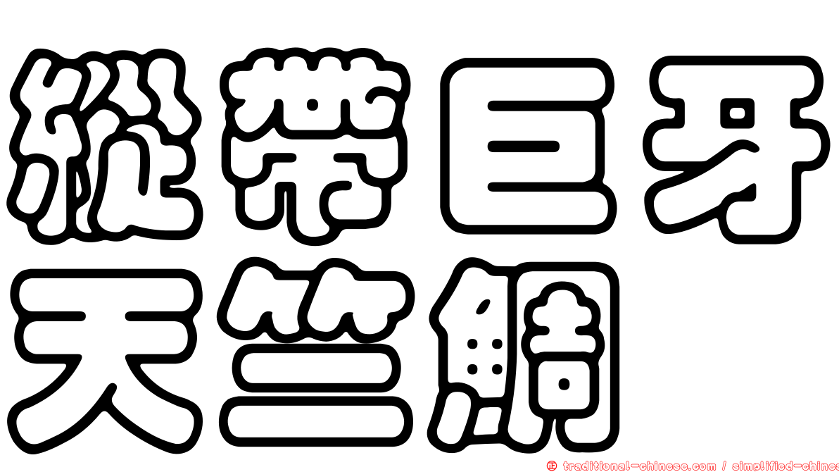 縱帶巨牙天竺鯛