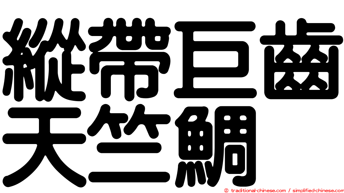 縱帶巨齒天竺鯛