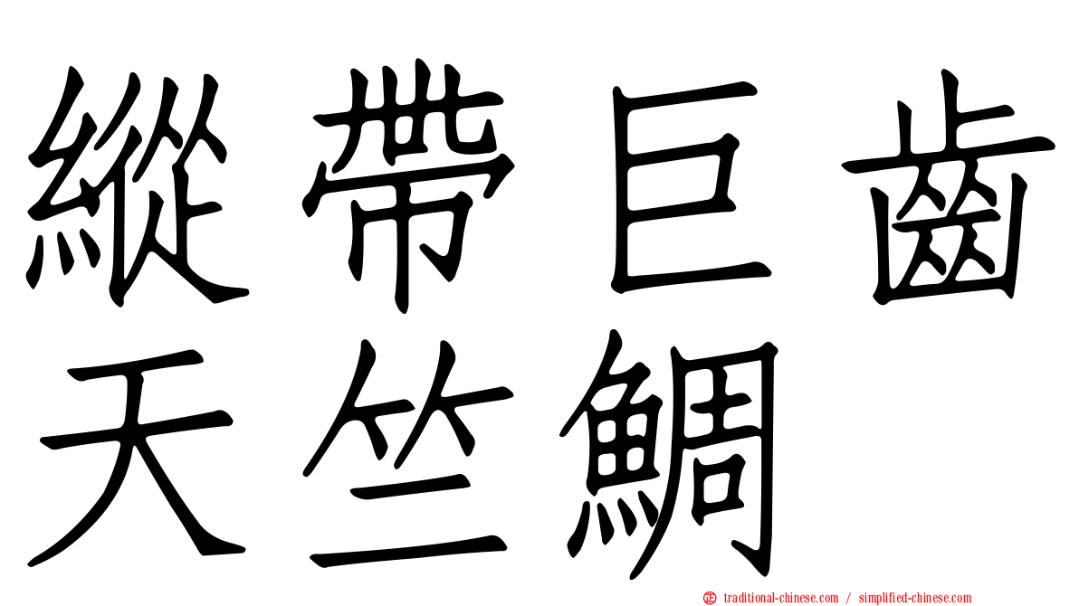 縱帶巨齒天竺鯛