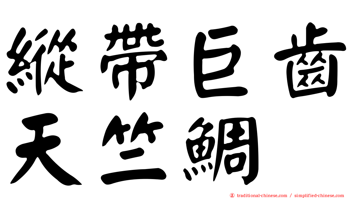 縱帶巨齒天竺鯛