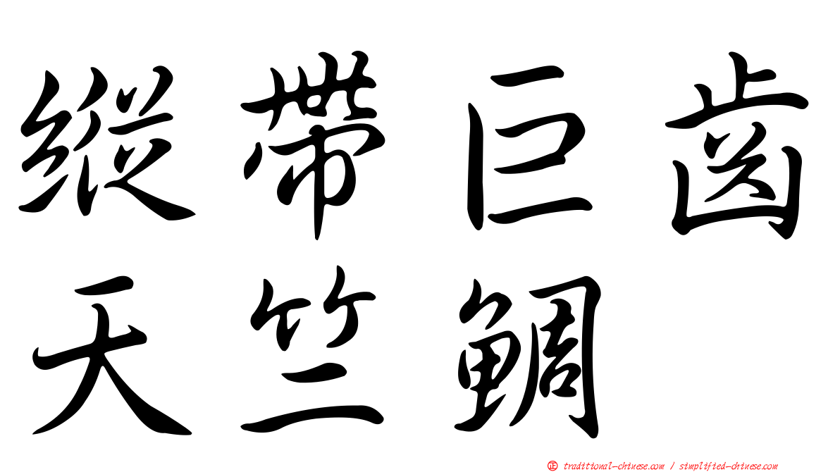 縱帶巨齒天竺鯛