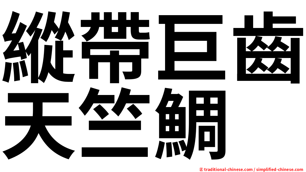 縱帶巨齒天竺鯛