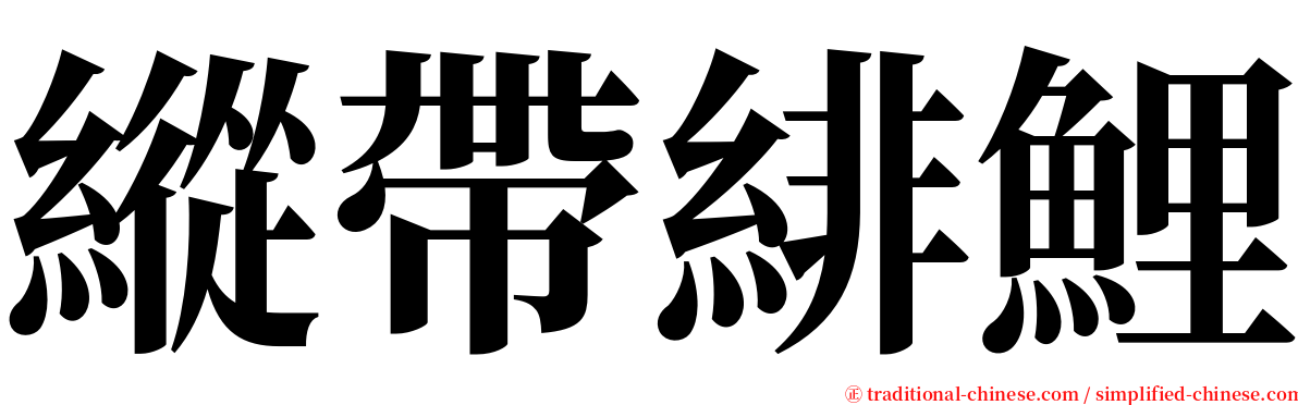 縱帶緋鯉 serif font