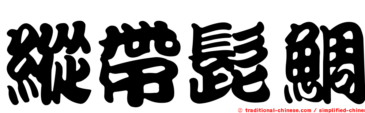 縱帶髭鯛