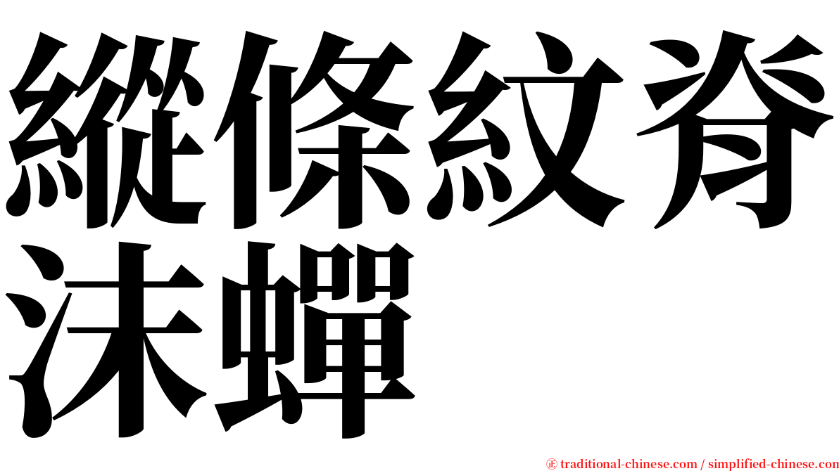 縱條紋脊沫蟬 serif font