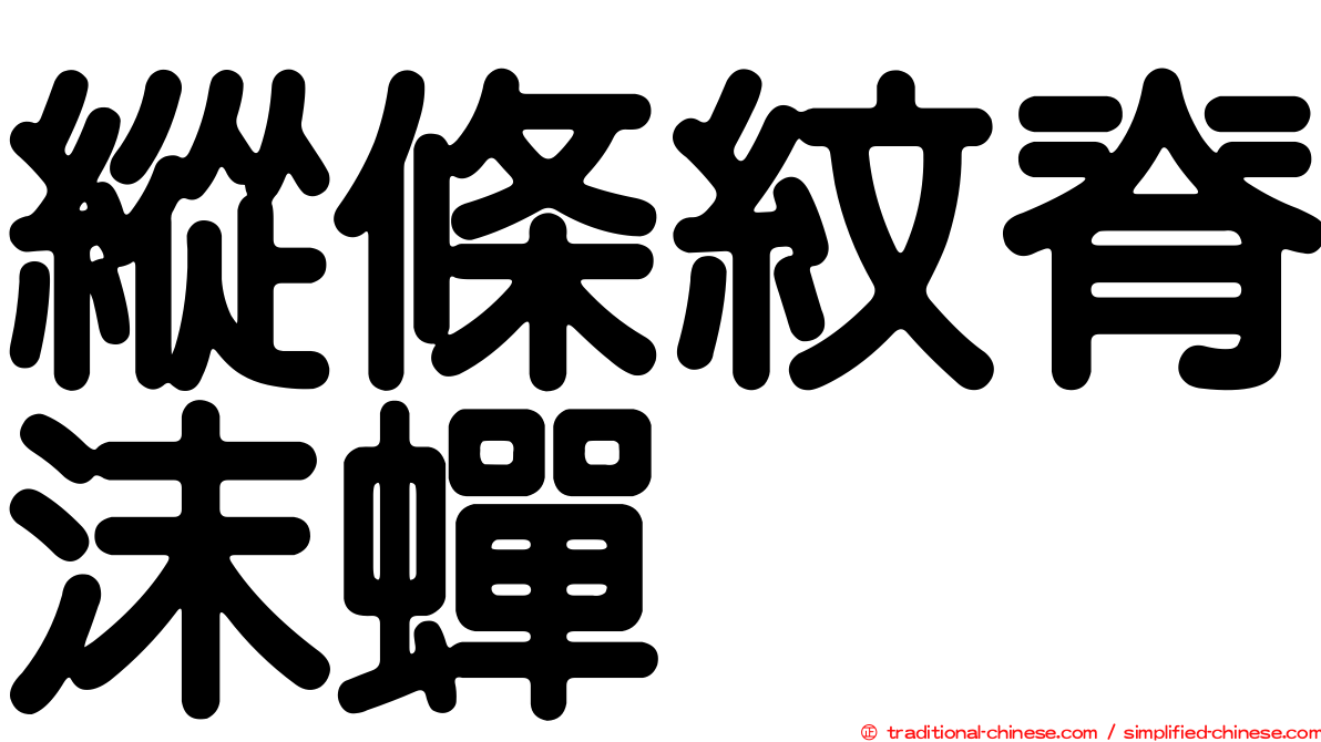 縱條紋脊沫蟬