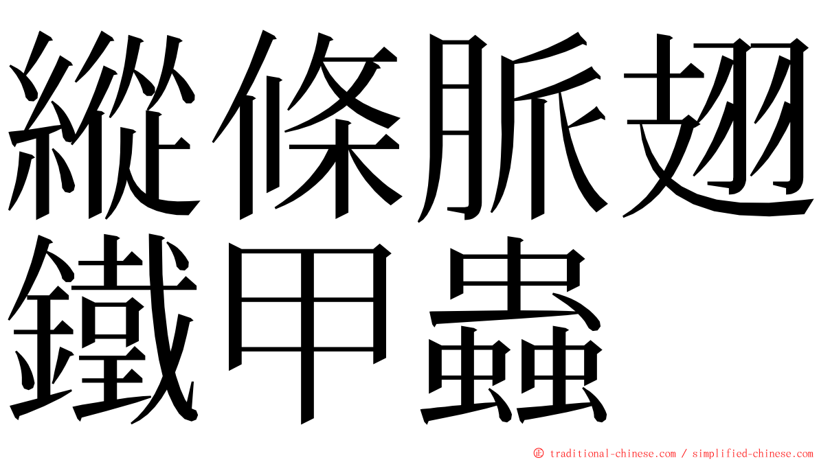縱條脈翅鐵甲蟲 ming font