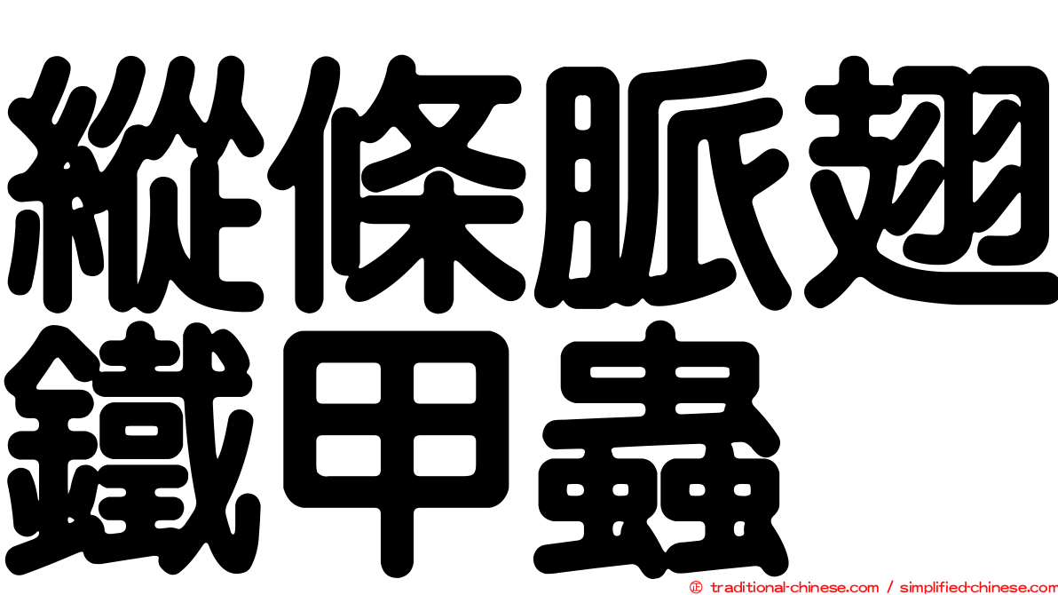 縱條脈翅鐵甲蟲